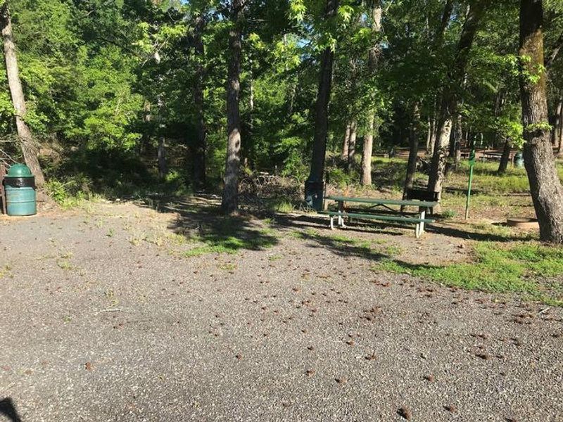 Campsite #5. Tent site with the following amenities: fire-pit, grill, picnic table, lantern pole, trash can. Located along bayou.