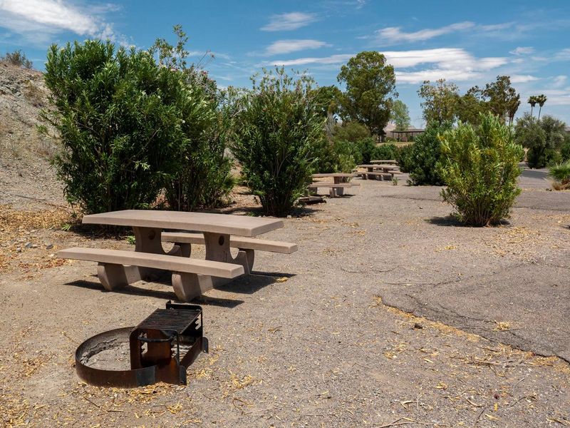 Callville Bay Campground