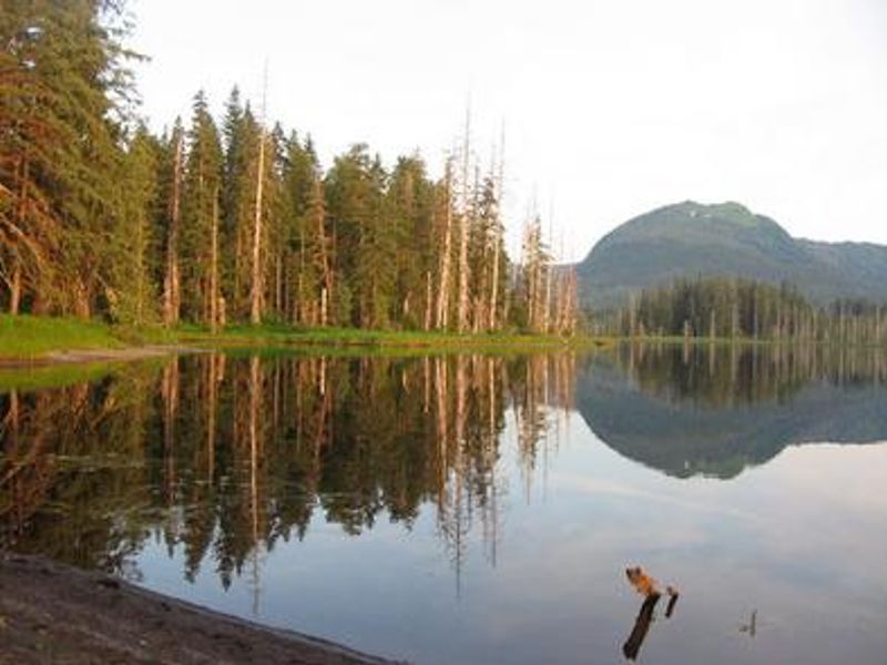 Petersburg Lake Cabin