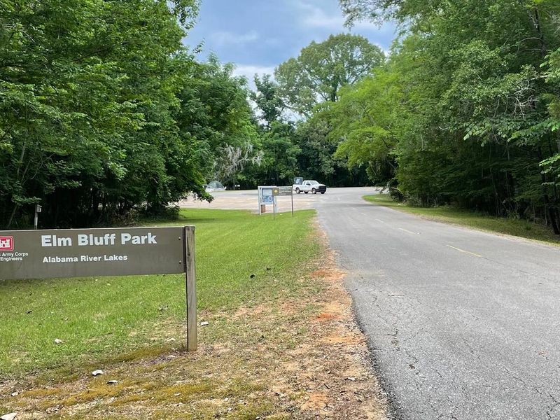 Elm Bluff Camping