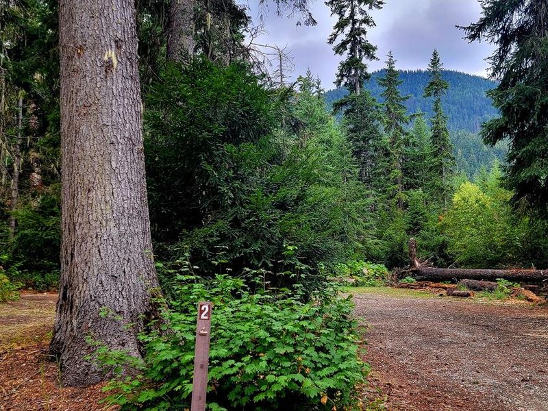 Black Pine Horse Camp - Site 2
