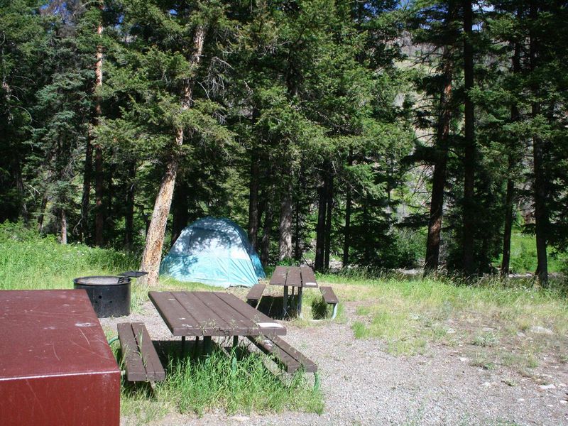 Slough Creek Campground Site #12