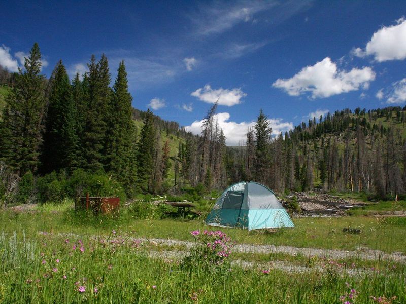Slough Creek Campground Site #7