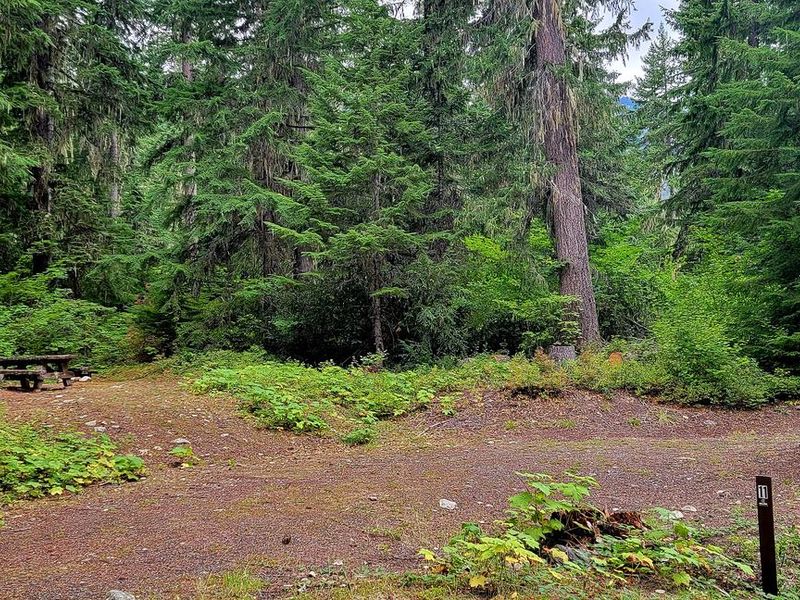 Black Pine Horse Camp - Site 11
