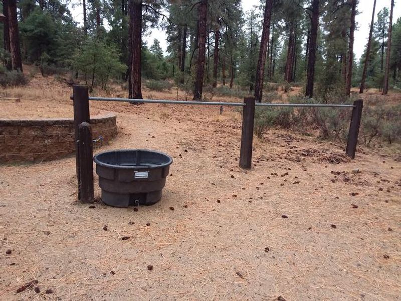Groom Creek water trough.