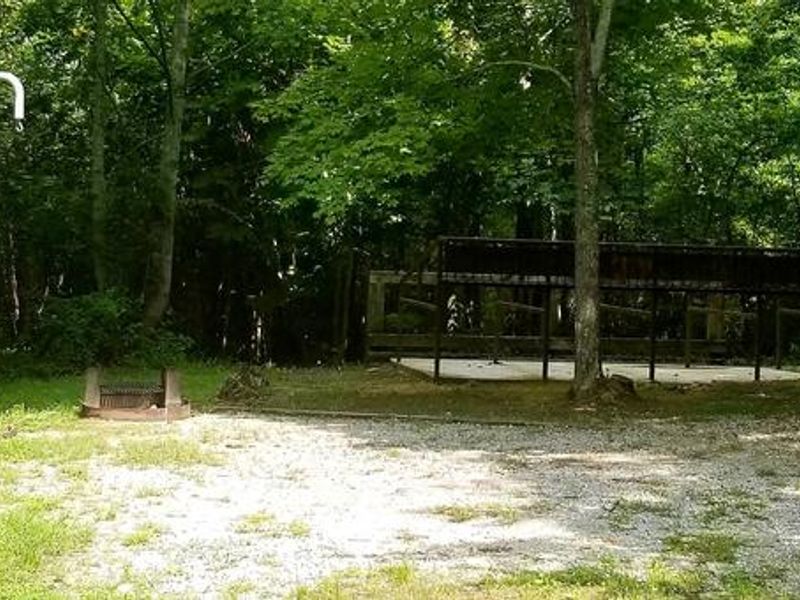 Bear Creek Horse Camp