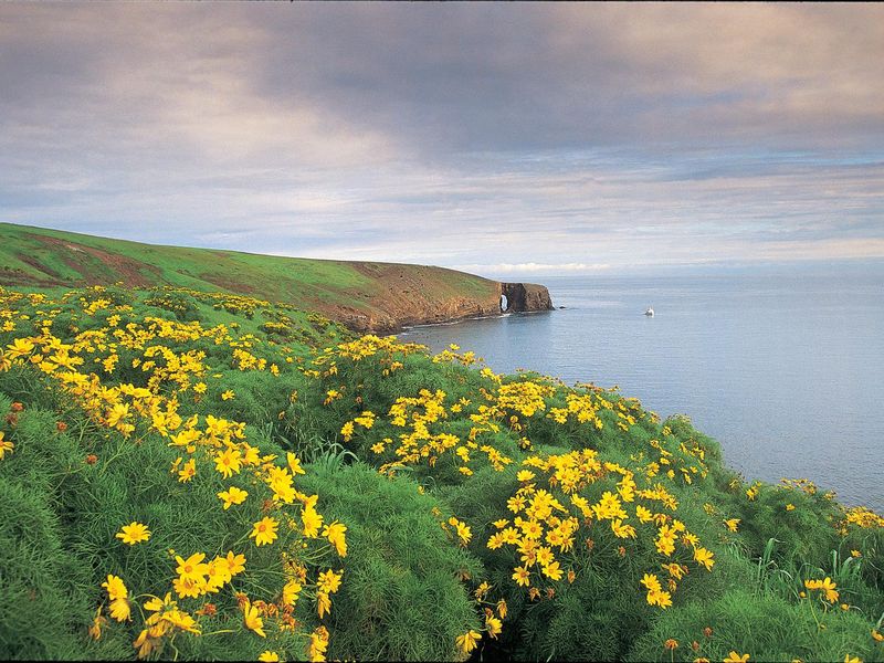 Arch Point, Santa Barbara Island