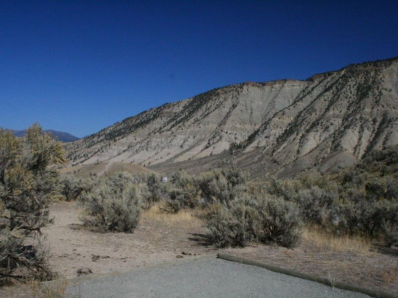 Mammoth Campsite #20