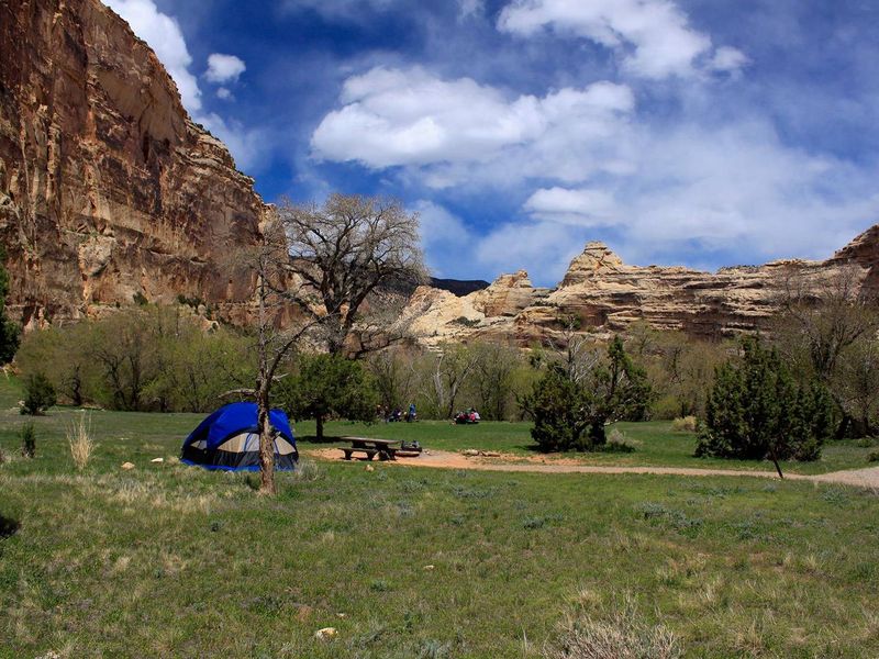 Blue Tent in Echo Park Campground