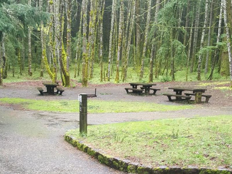 Wyeth campground Group Site #2