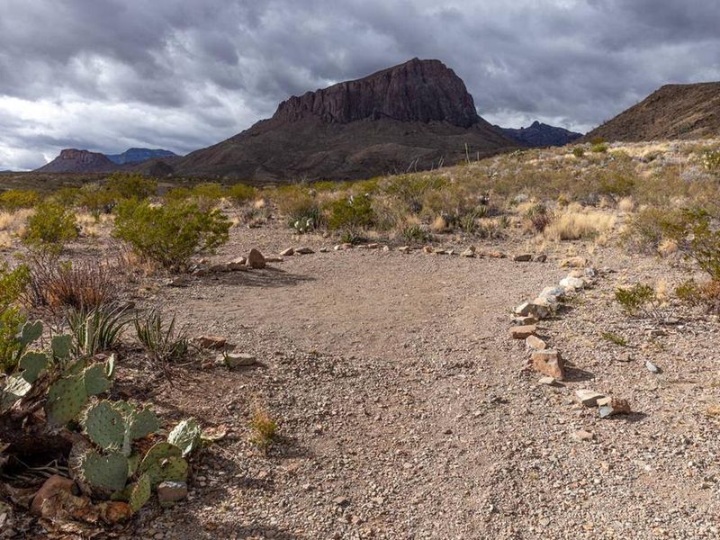 Big Bend offers designated campsites along backcountry roads.