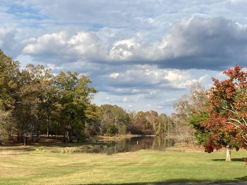 Fall afternoon overlooking the water.