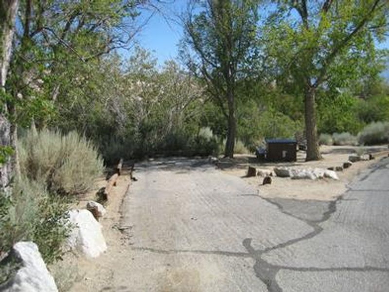 Lone Pine Campground