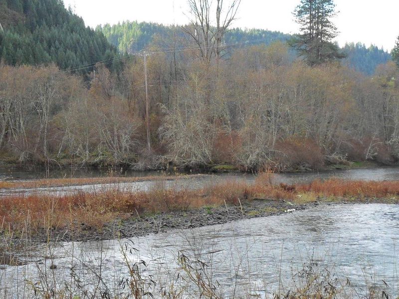 Nearby Umpqua River