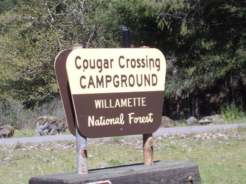 Cougar Crossing