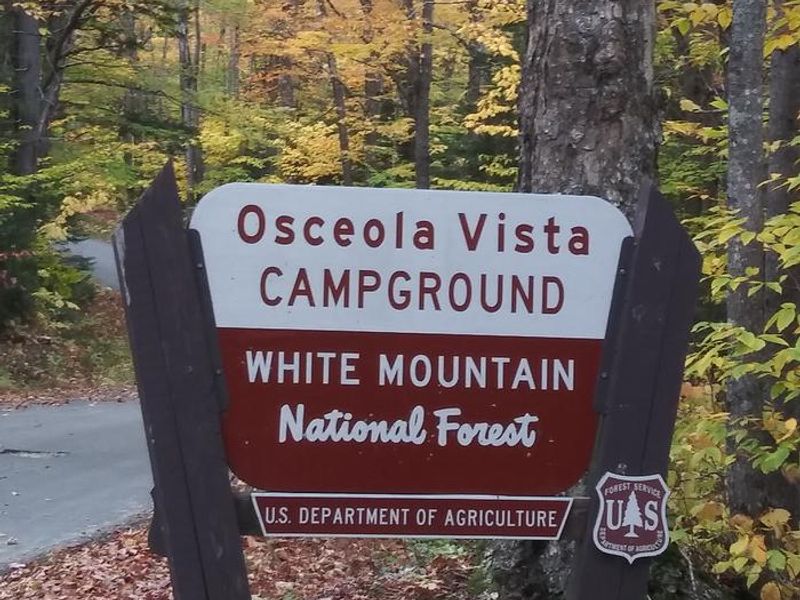 OCEOLA VISTA SIGN