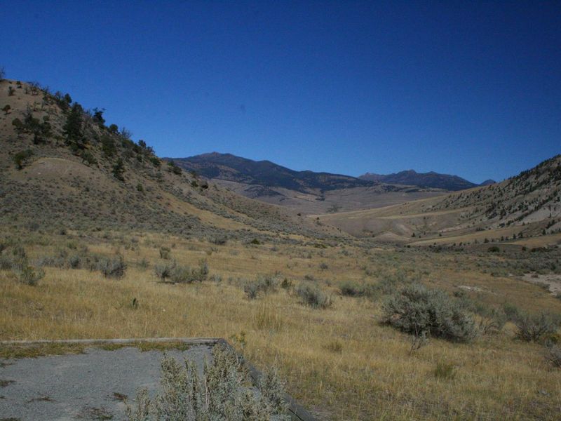 Mammoth Campsite #35, tent pad and looking north
