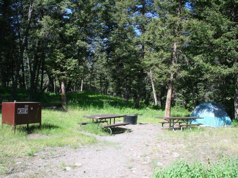 Slough Creek Campground Site #12
