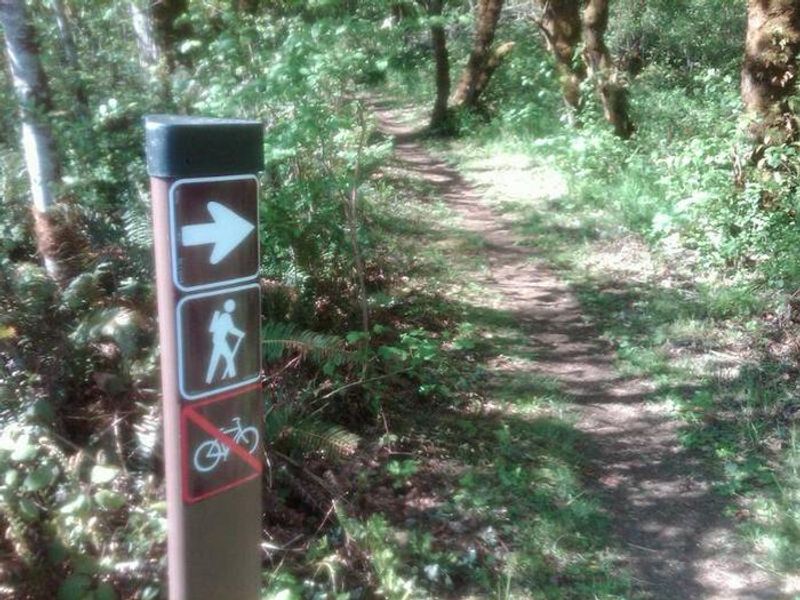 Trail access from Schwarz Park