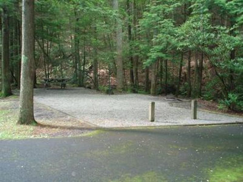 Campsite in Hurricane Campground