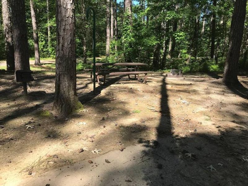 Shaded Class A Campsite #14. RV pad, water, and 20/30/50 AMP electric hook-ups as well as basic campsite amenities including a picnic table, lantern post, fire ring, trash can and grill.