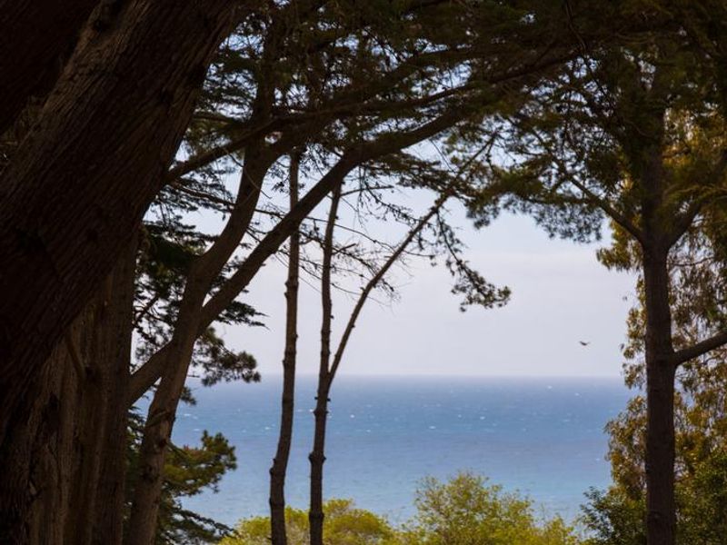 A photo of facility PLASKETT CREEK CAMPGROUND water