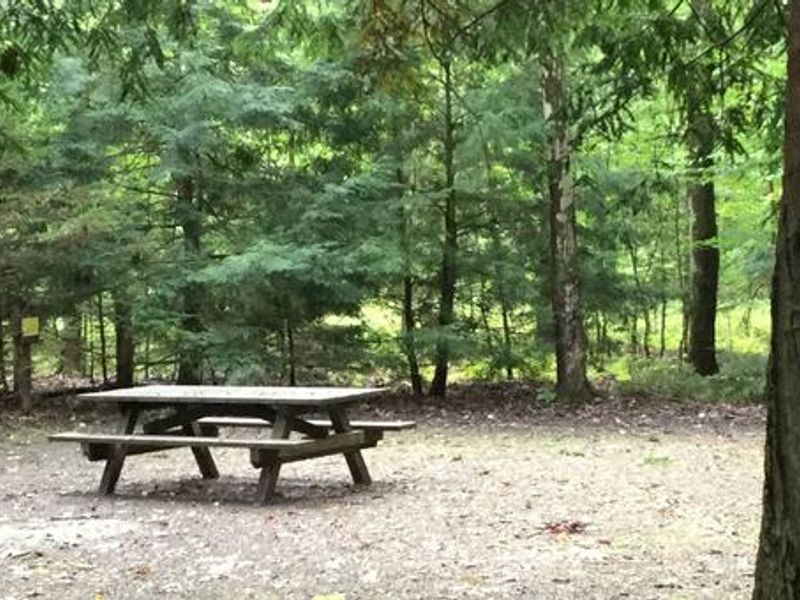 Hearts Content Recreation Area