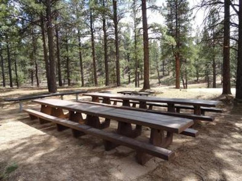 Group Site at Buckeye Rec Area