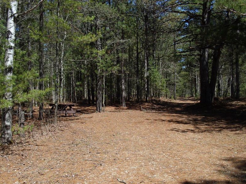 One of many sites located at the Island Lake Campground