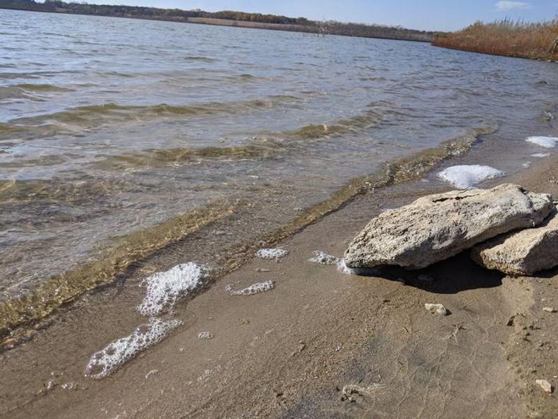 Curtis Creek Loop C Beach