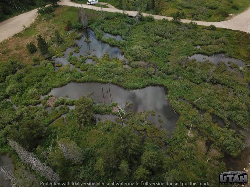 Shingle Creek Atv Campground