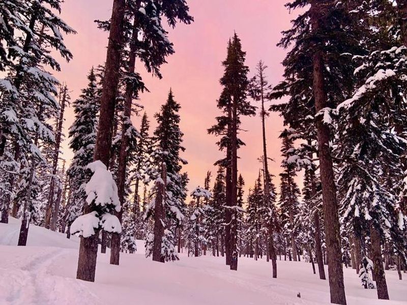 The cabin is located within the campground