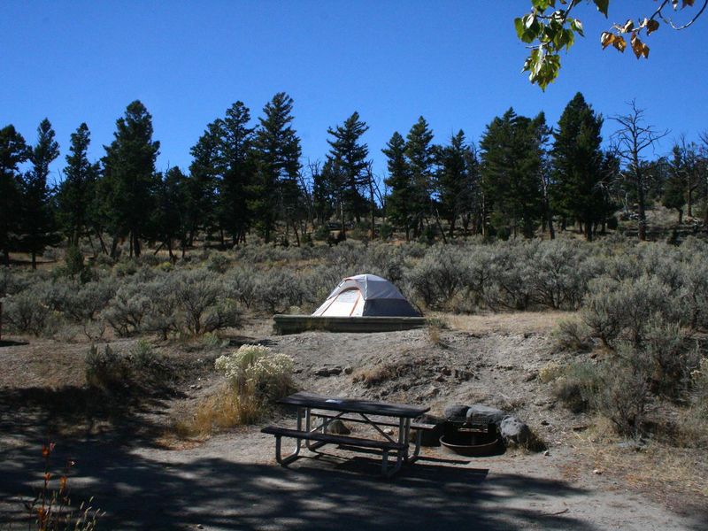 Mammoth Campsite #82