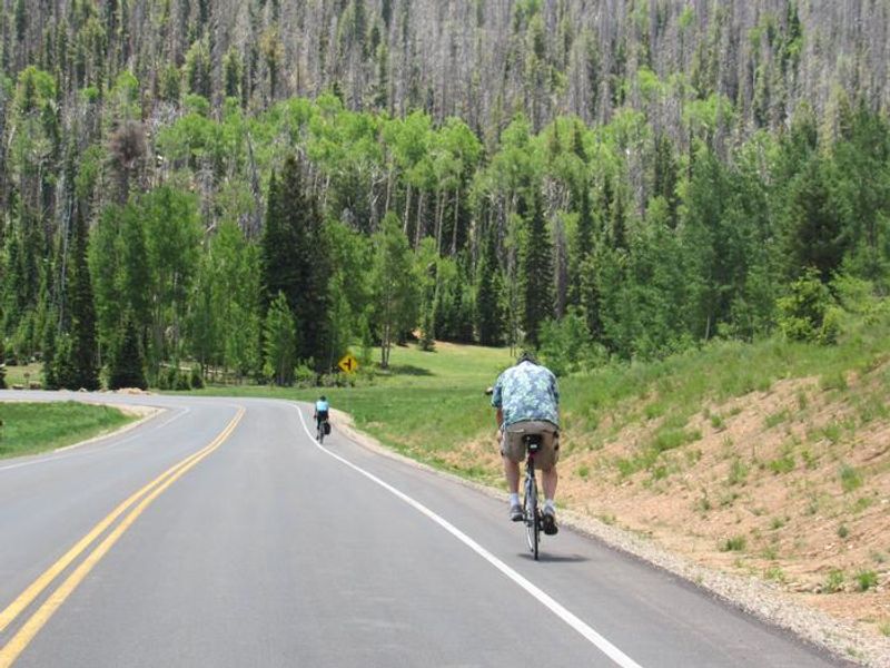 Many miles of bicycle trails to enjoy from Te-ah Campground.