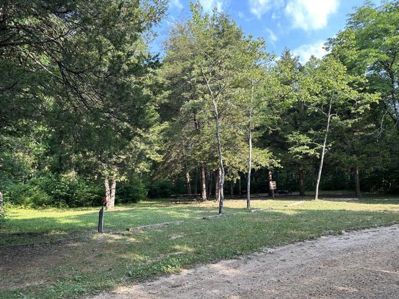 Akers Group Campground under shade trees