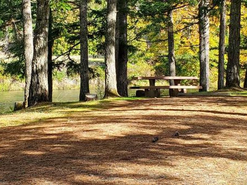 Schwarz Park with Row River 