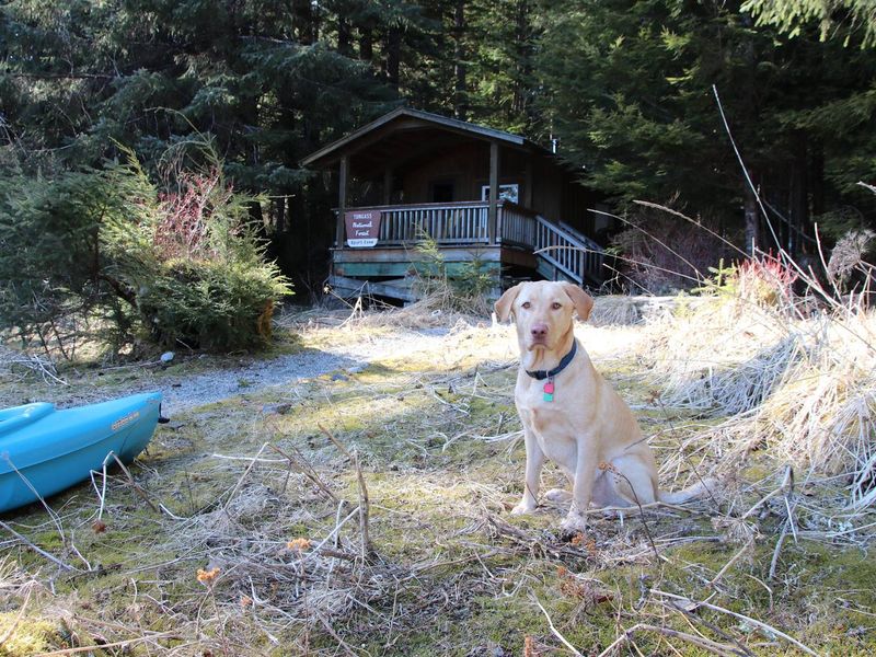 Kayakers can paddle around Thomas Bay and visit the Barid Glacier from Spurt Cove Cabin