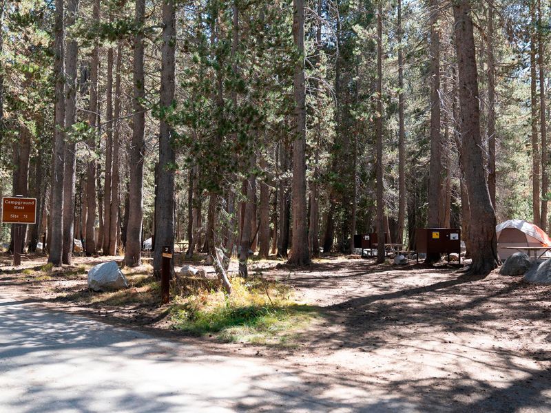 White Wolf Camp Host Site