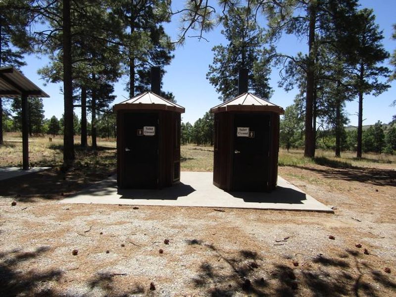 Vault toilets are available to campers at Ponderosa Group Campground. No running water in restrooms or shower facilities are available. 