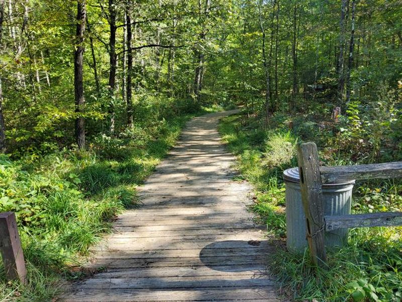 Pines Point Campground
