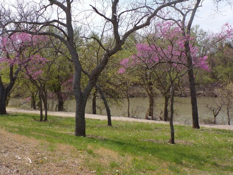 Lake at Neosho Park 2