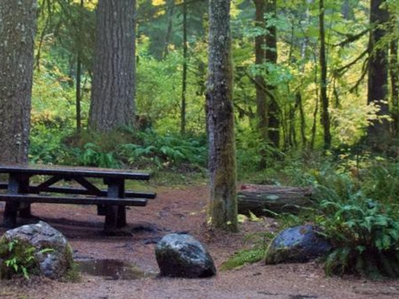 Big Creek Campground