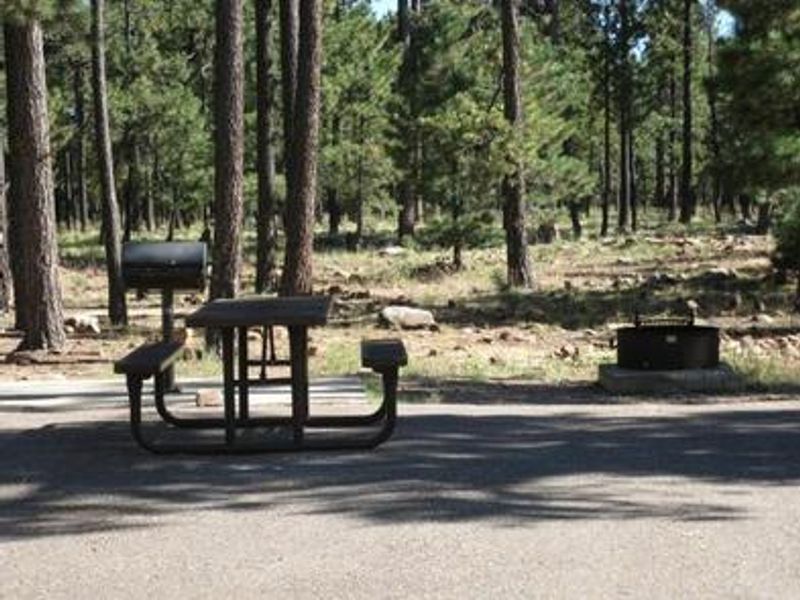 Each loop in Crook offers 13 individual spurs with tables, fire rings, and grills