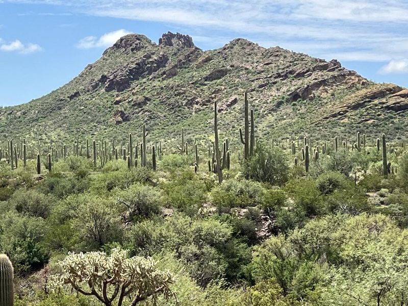 One of the many views from the Alamo Canyon area.
