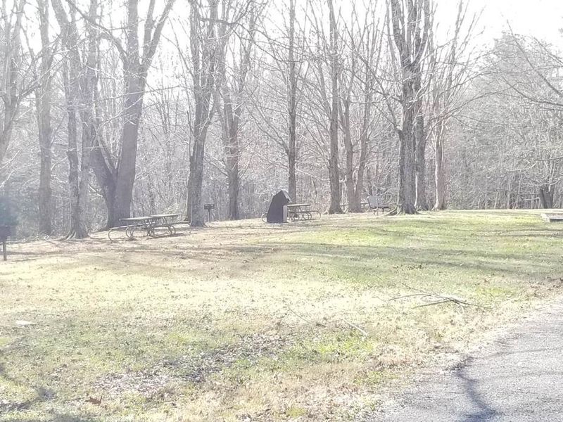 Additional picnic sites located near Big Oak Picnic Shelter