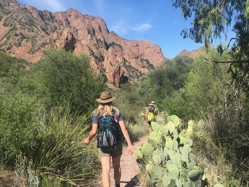 The Window Trail begins near the campground