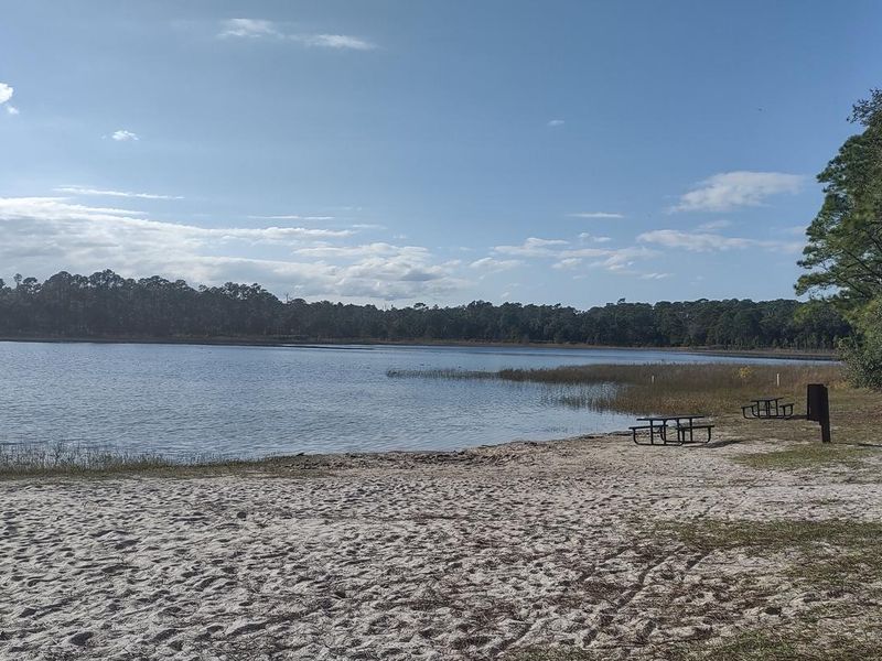 The waterfront of Clearwater Lake. 