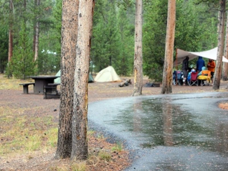 Even on a rainy day, there are many things to do at Madison, including having a meal under a canopy.