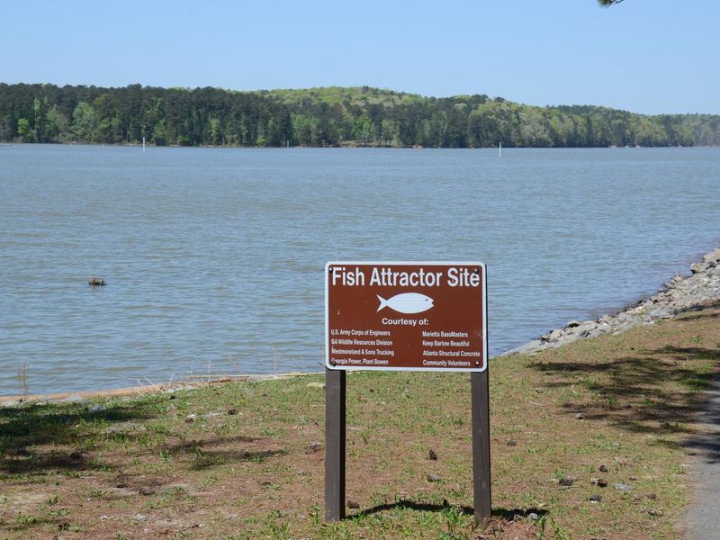 Galt's Ferry Day Use Fish Attractor Site