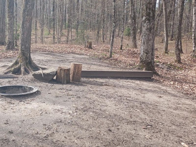 IronJaw Campsite fire ring and tent pad